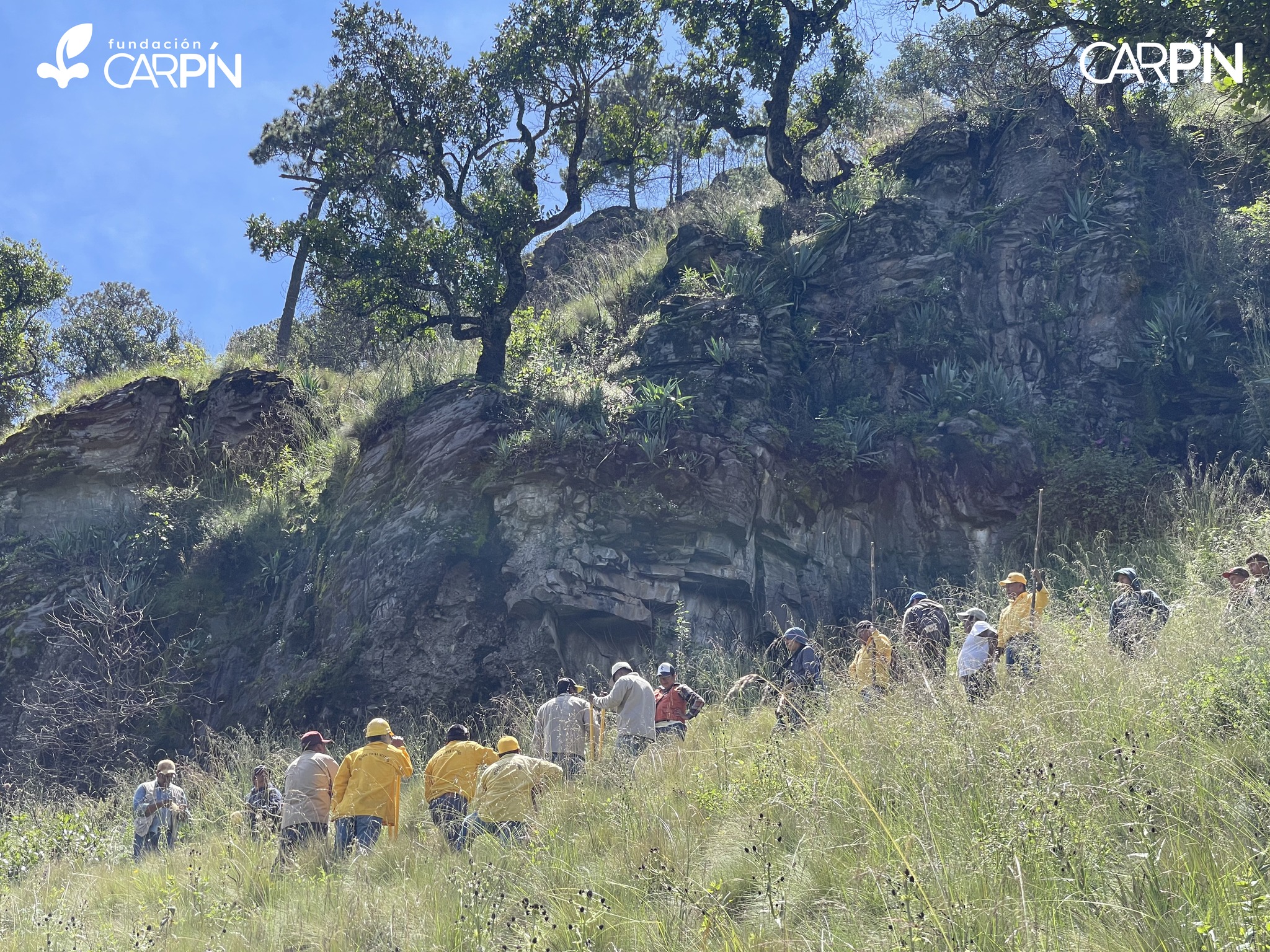 Inicia la reforestación con 33,000 árboles para proteger los recursos naturales de Xalapa